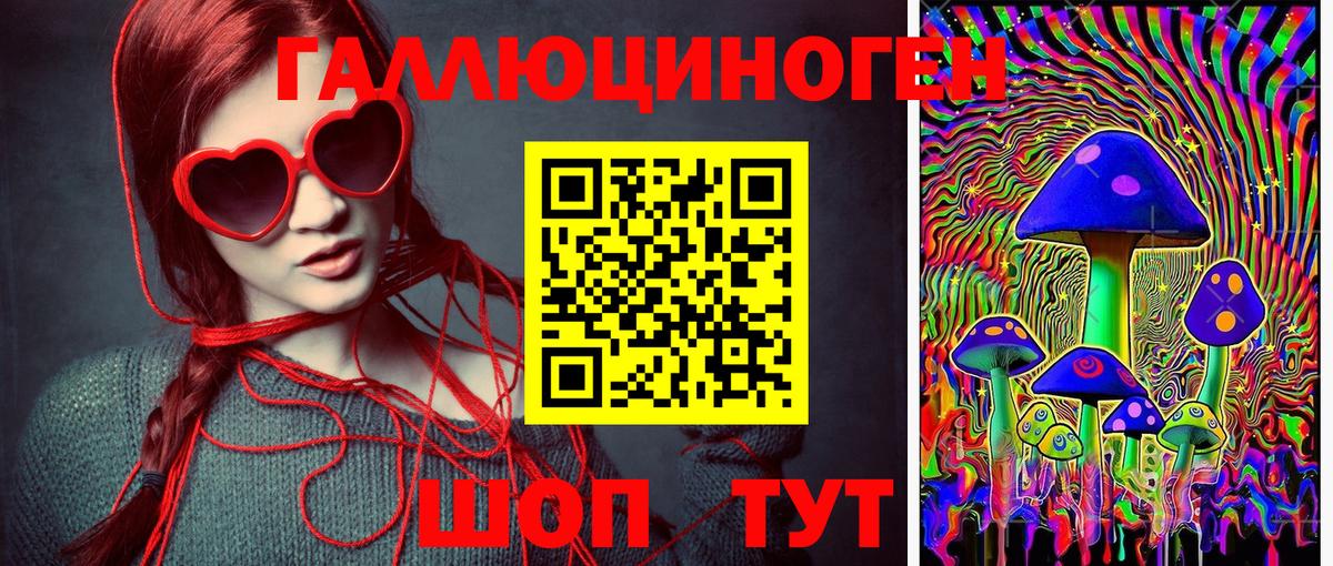 Сосновоборск  Псилоцибиновые грибы Psilocybe  Вход с VPN 